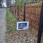 Marsvinslund * Viborg
