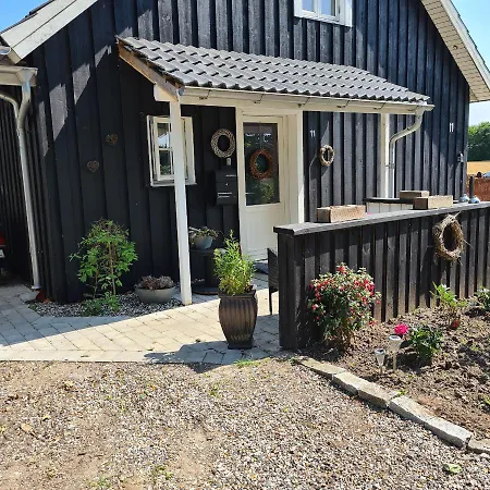Marsvinslund Viborg