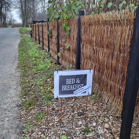 Marsvinslund * Viborg