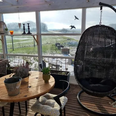 Marsvinslund Βίμποργκ