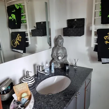 Marsvinslund بيت للعطل فيبورغ