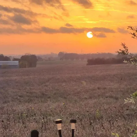 Marsvinslund فيبورغ