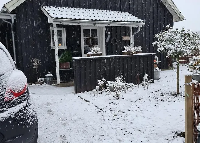 Marsvinslund *