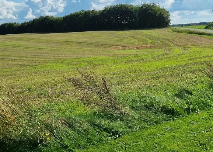 Marsvinslund Feriehus *